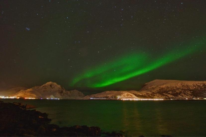 לקנס Rorbu I Lofoten מראה חיצוני תמונה